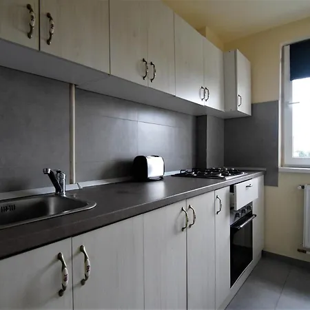 Gara De Nord - Resedinta Lui Calin Appartement