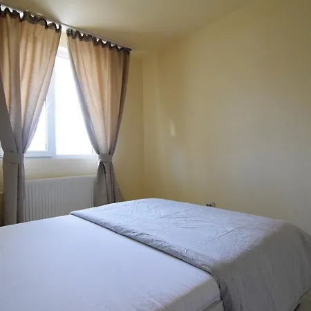 Gara De Nord - Resedinta Lui Calin Apartment *